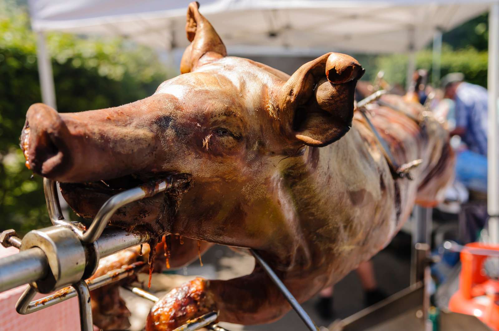 Hog Roast on a spit after being cooked